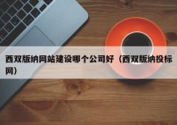 西双版纳网站建设哪个公司好（西双版纳投标网）