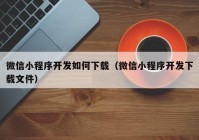 微信小程序开发如何下载（微信小程序开发下载文件）