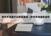 软件开发是什么职业类别（软件开发是职业吗）