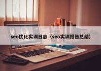 seo优化实训日志（seo实训报告总结）