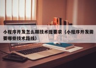 小程序开发怎么跟技术提要求（小程序开发需要哪些技术路线）