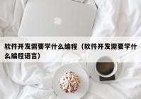 软件开发需要学什么编程（软件开发需要学什么编程语言）