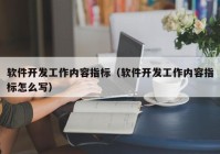 软件开发工作内容指标（软件开发工作内容指标怎么写）